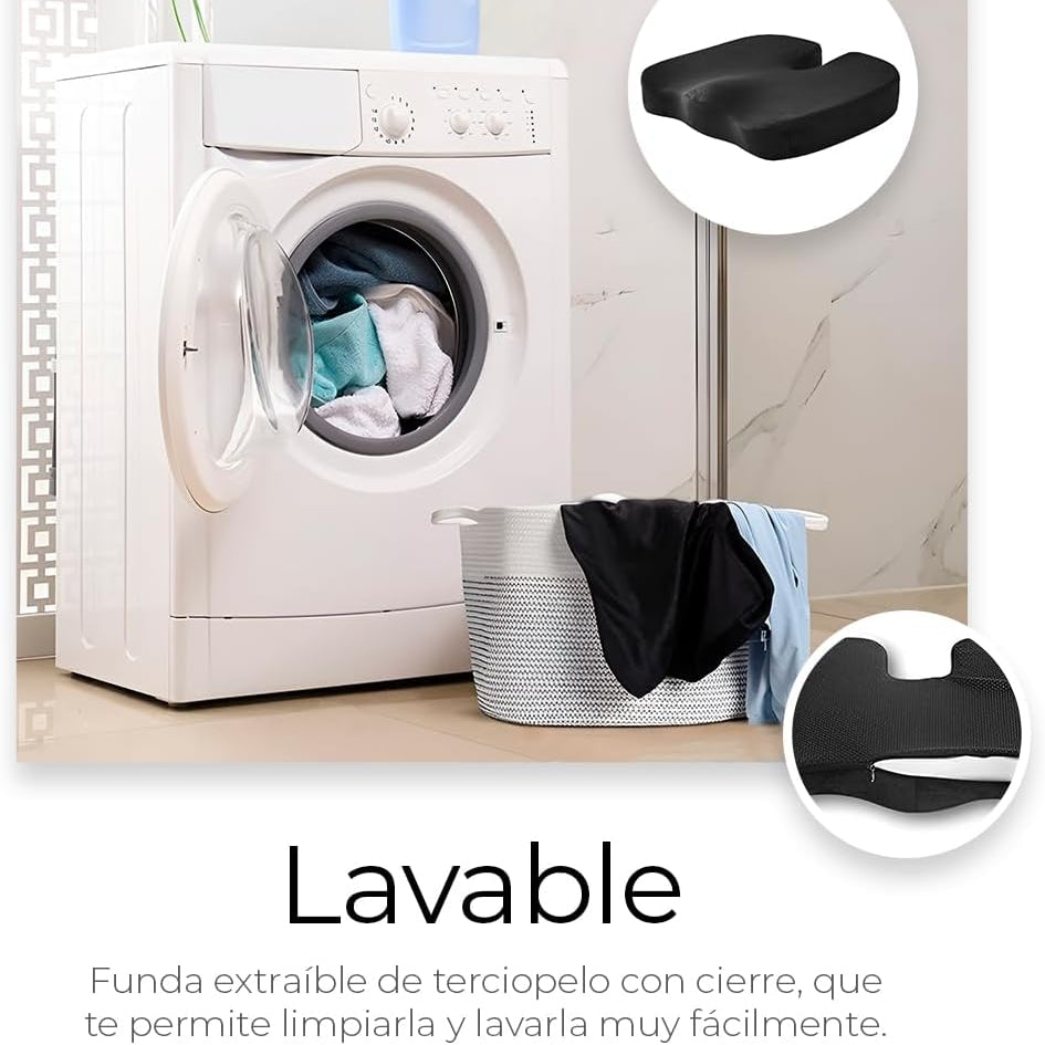 Cojín Asiento Premium