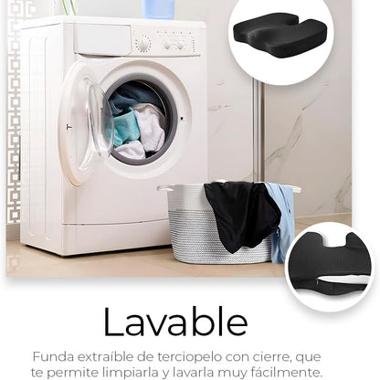 Cojín Asiento Premium