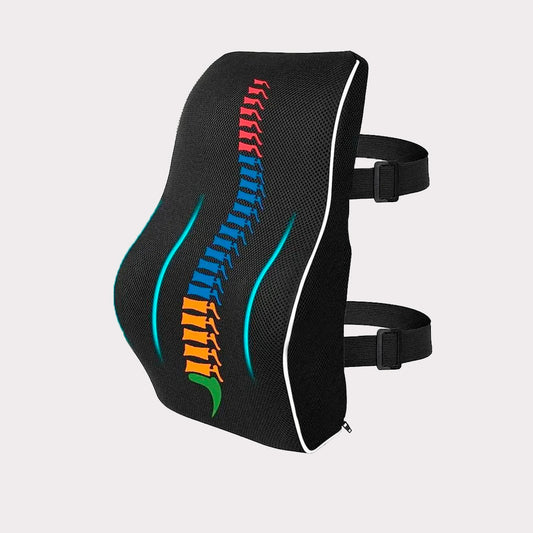 Cojín Lumbar Premium